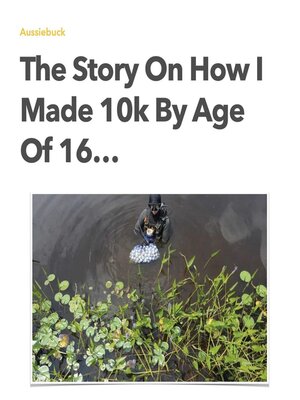 cover image of The Story On How I Made 10k by Age of 16